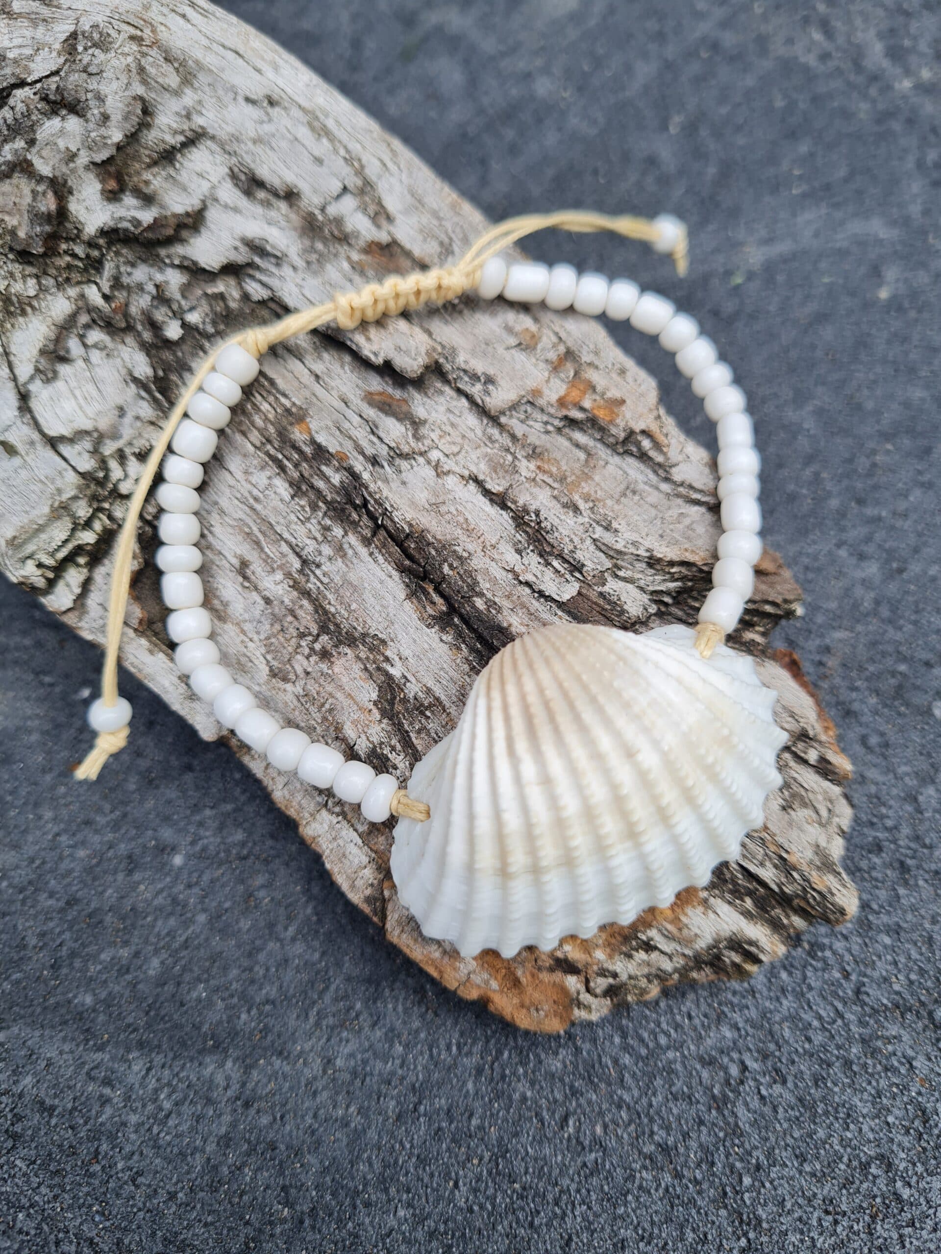 Armband grote schelp!