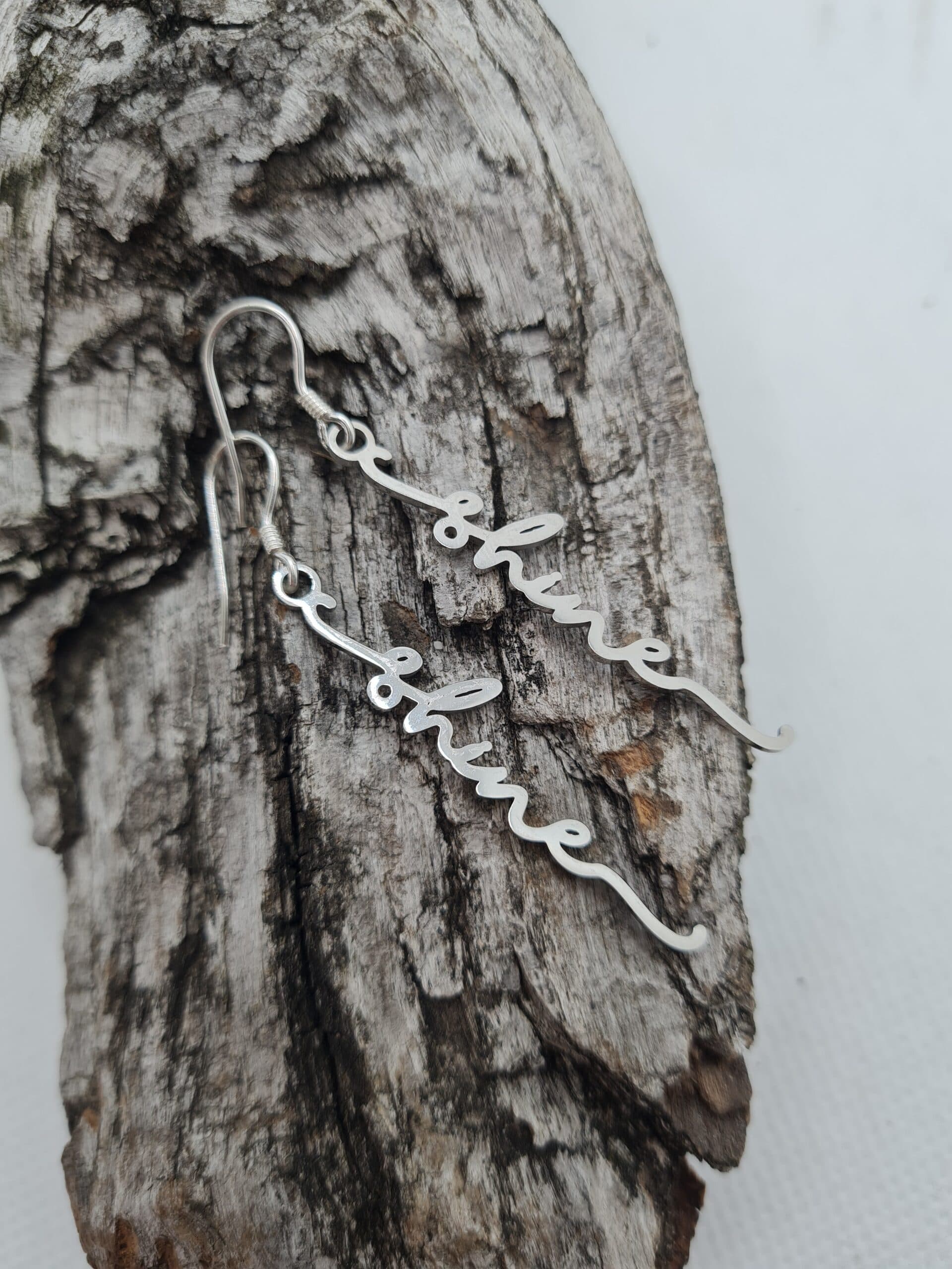 Oorbel zilver haakje SHINE